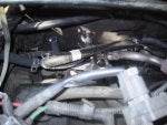 Car0908_003small.jpg