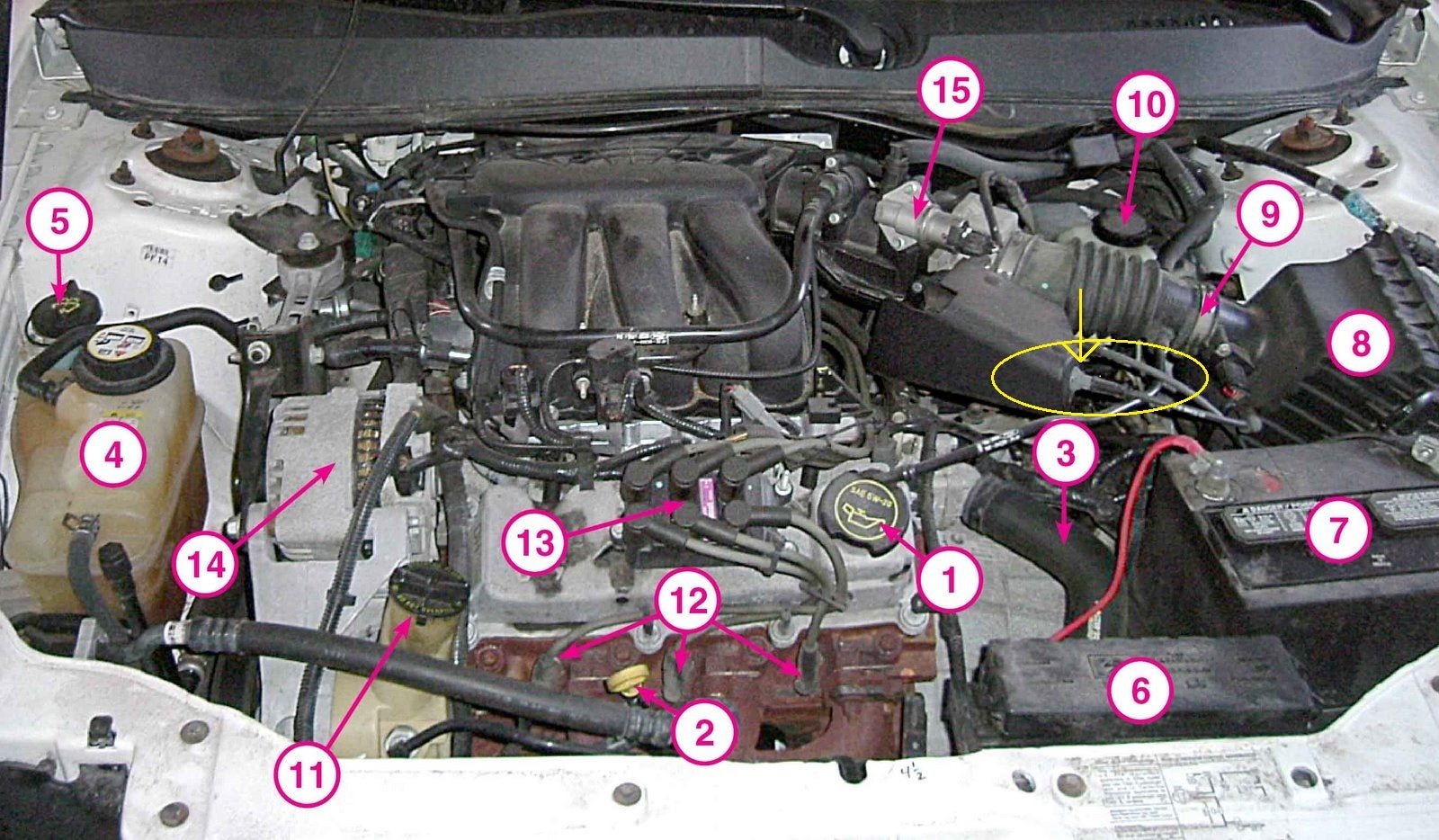 Vss Wire - Taurus Car Club of America : Ford Taurus Forum 06 scion tc wiring diagram 